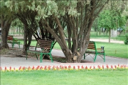 img_3493.png