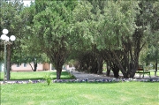 img_0108.png