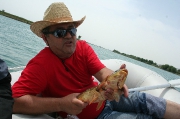 IMG_4722.JPG